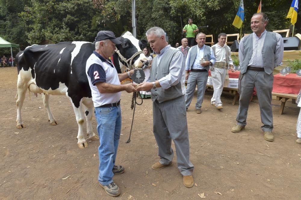 Feria de ganado