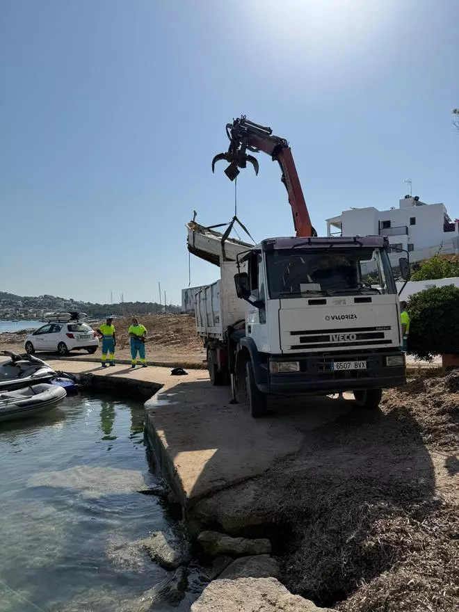 El Ayuntamiento de Ibiza retira ocho embarcaciones de la playa de Talamanca