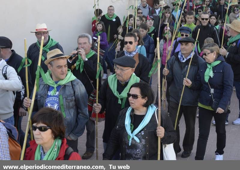 GALERÍA DE FOTOS - Romería Magdalena 2014 (5)