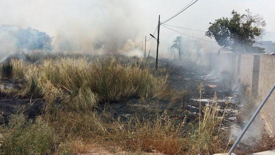 Arde una parcela del Camí La Cossa en Burriana