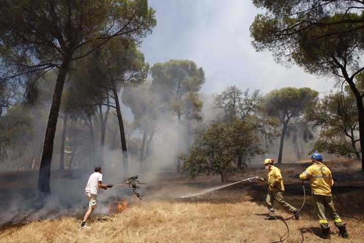 Las imágenes del incendio en el entorno del hospital de Los Morales.