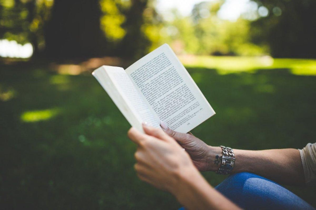 libros libros