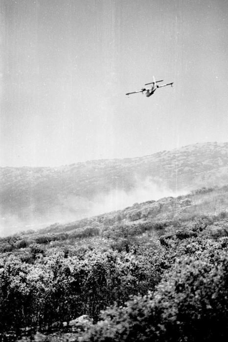 Aviones de Torrejón de Ardoz y Reus