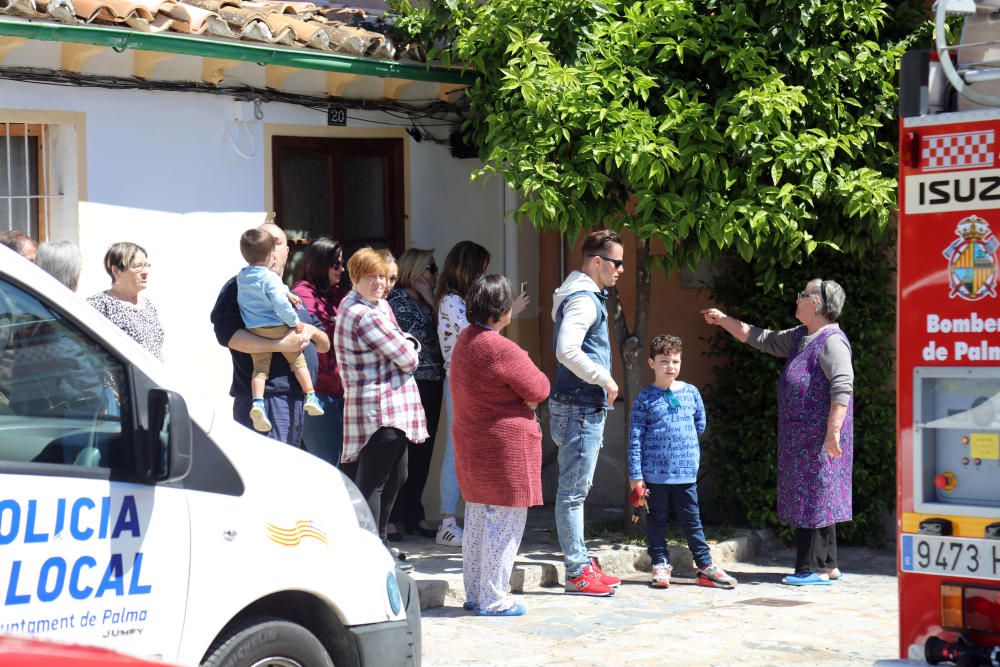 Fallece un perro en un incendio en los molinos del Jonquet