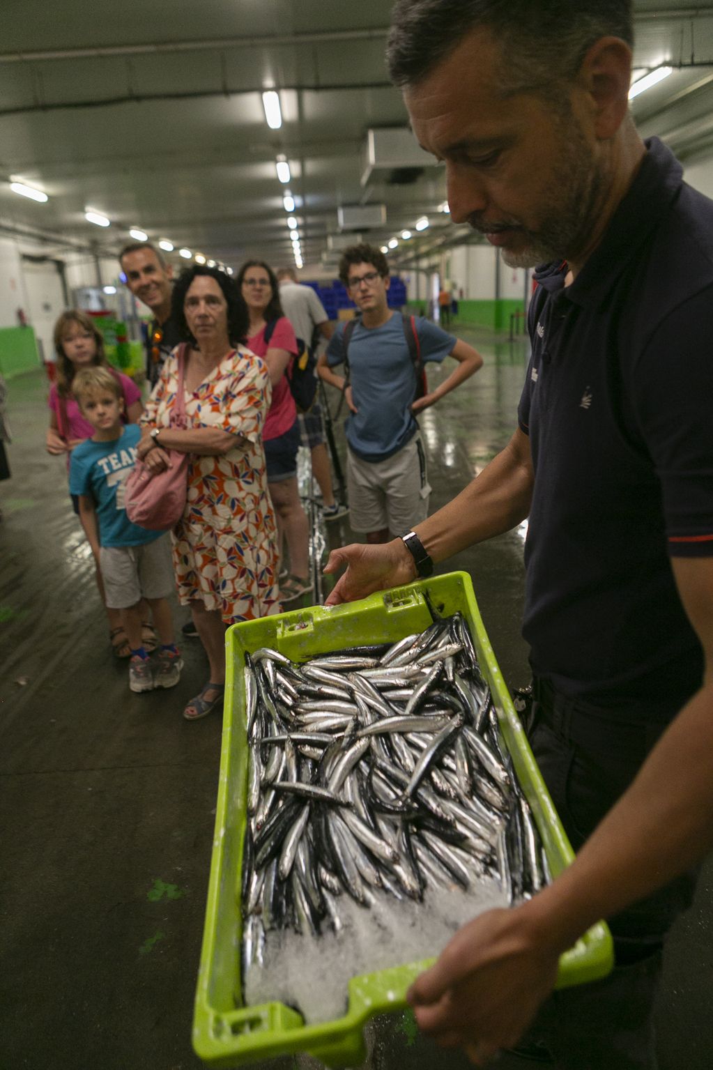 EN IMÁGENES: Vuelven las visitas guiadas a la rula de Avilés