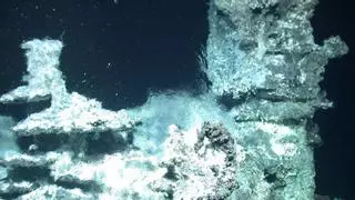 Revelan un nuevo paraíso hidrotermal en las profundidades del océano