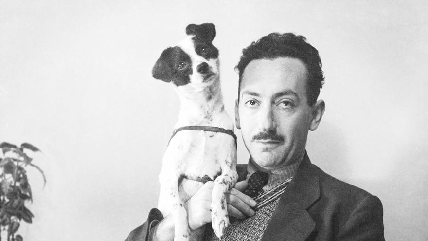 Las cuatro nuevas vidas de Nicolás Muller: el resurgir del gran fotógrafo del siglo XX deslumbrado por la belleza de Asturias