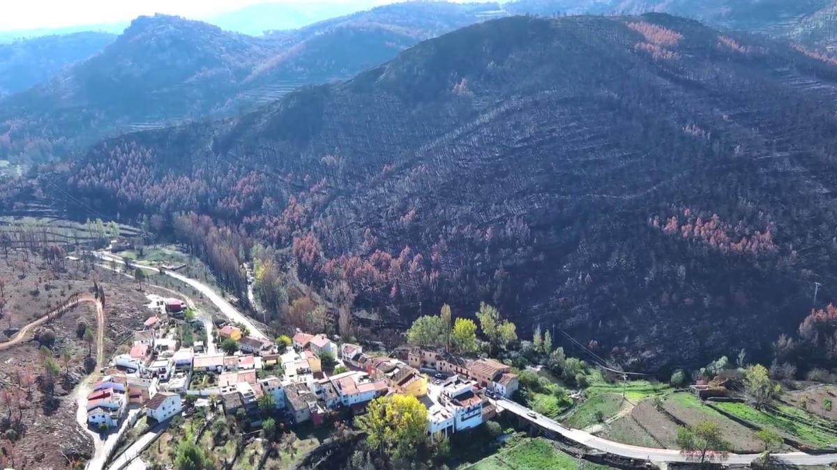 Un vídeo a vista de dron muestra el antes y el después del incendio de Bejís