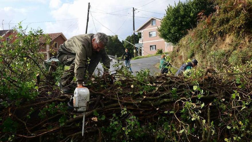 La carretera cortada, al inicio de los trabajos de retirada del árbol. // Gonzalo Núñez