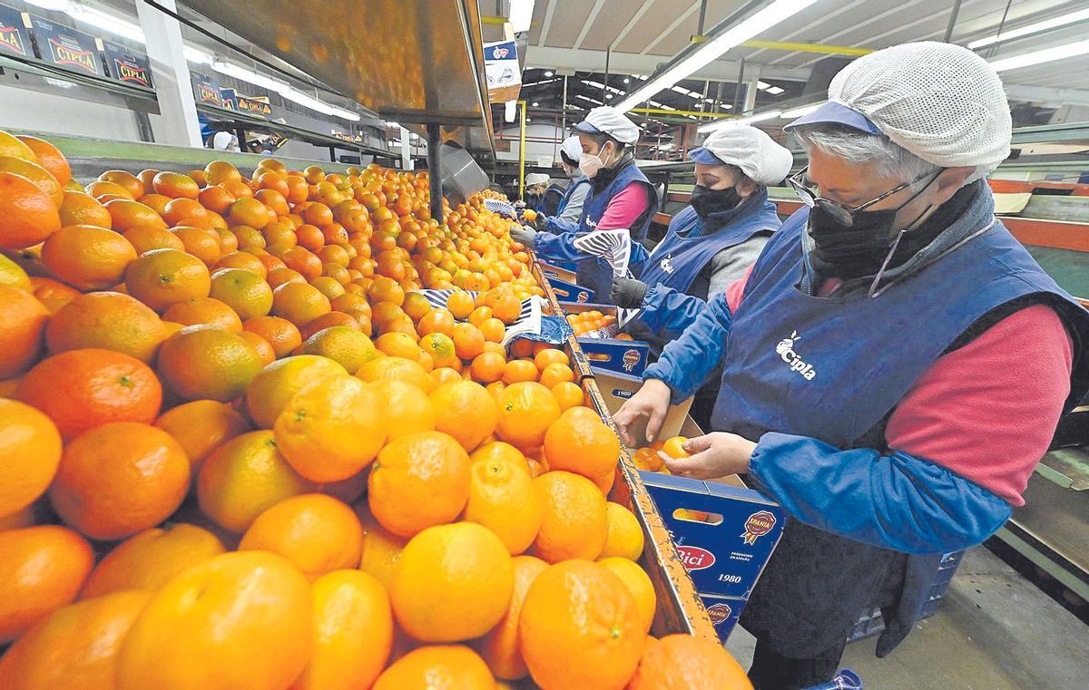 La agricultura es la que menos subió los salarios