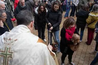 Bendición con protagonismo canino en Zamora