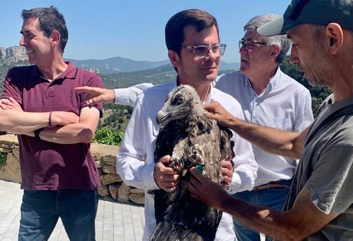 Uno de los ejemplares liberados en Castellón