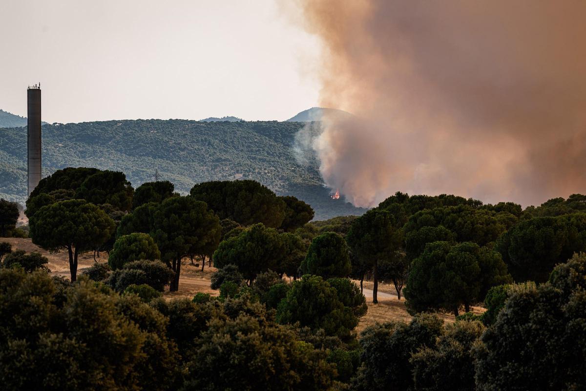 Evolución del fuego, a 23 de julio de 2026, en San Martín de Valdeiglesias, Madrid (España). Un nuevo incendio forestal se ha desatado este jueves en la Comunidad de Madrid tras arder un coche en la M-501, en la localidad de San Martín de Valdeiglesias, y