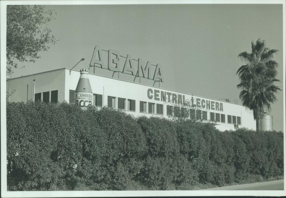 FOTOS | La historia de Agama, en imágenes