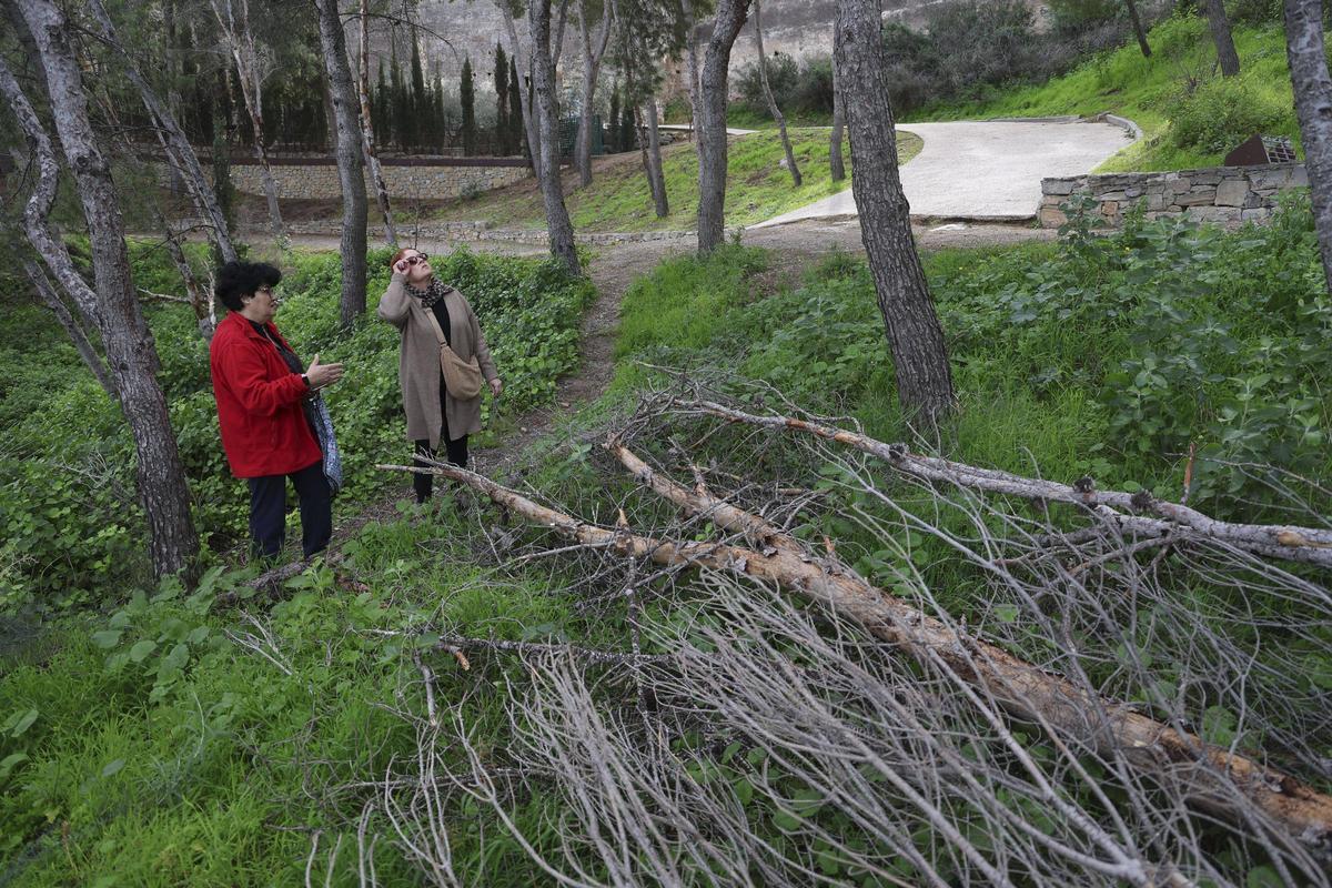 Varias vecinas junto a ramas secas al lado de la senda y en plena ladera.
