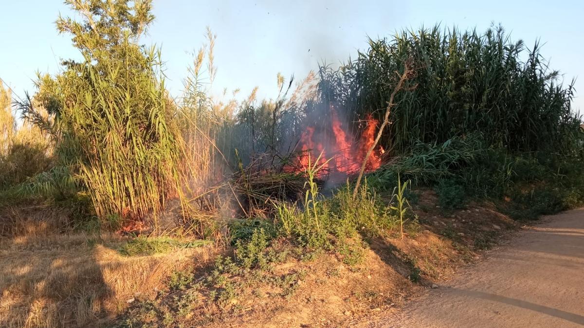 L&#039;incendi de canyissars de Palafrugell