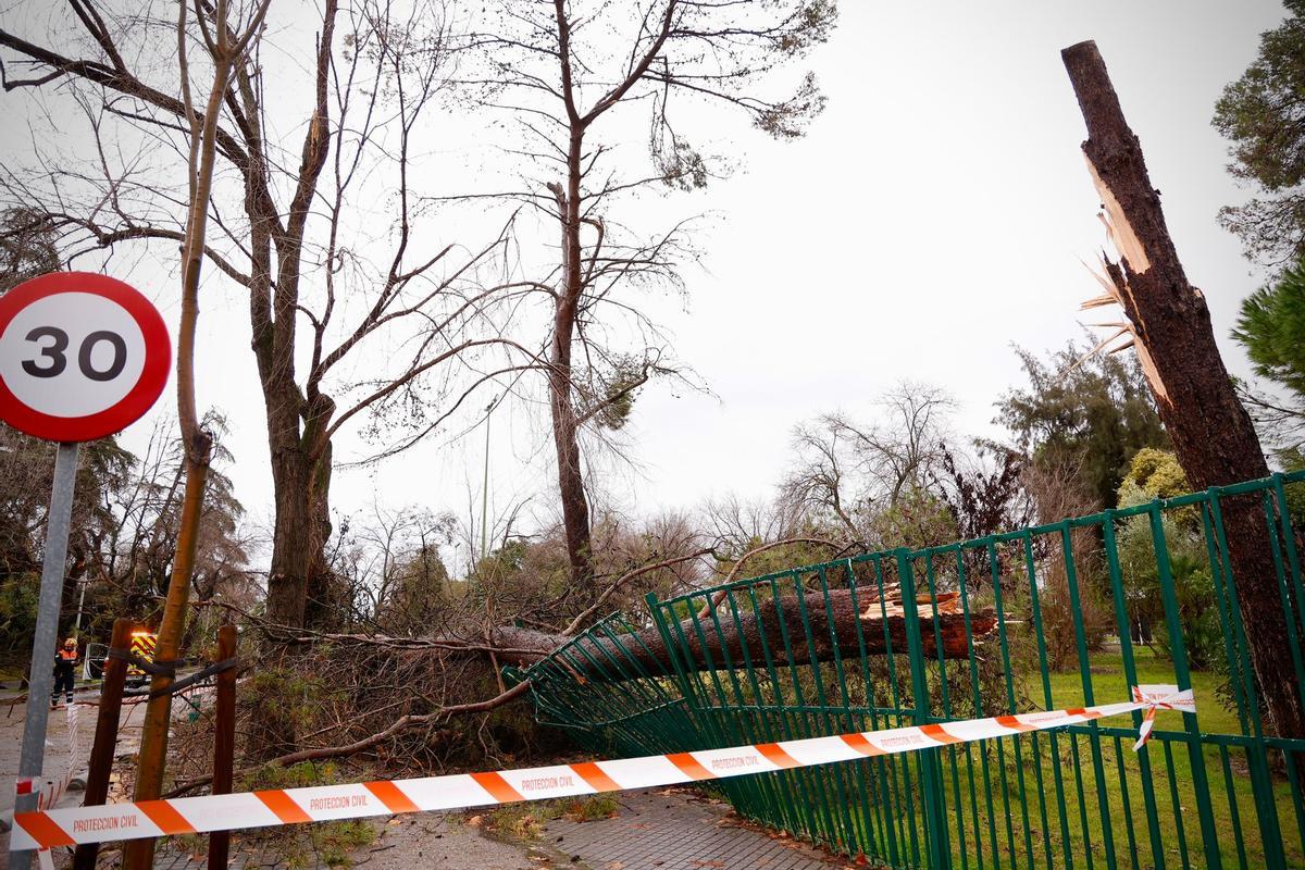 Aviso naranja en Córdoba