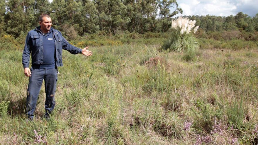 José Luis Méndez muestra los terrenos donde se proyecta el olivar, en As Chans. // Jose Lores