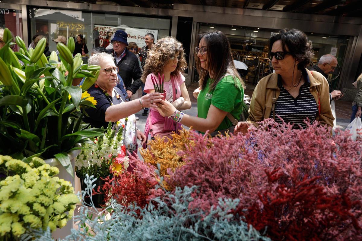 Uno de los puestos de "Oviedo en flor" en la primera edición.