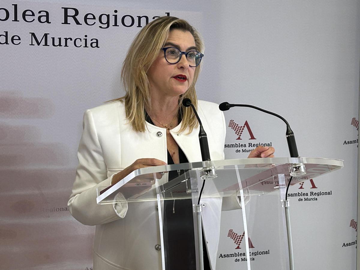 Carmina Fernández, portavoz del GPS en la Asamblea.