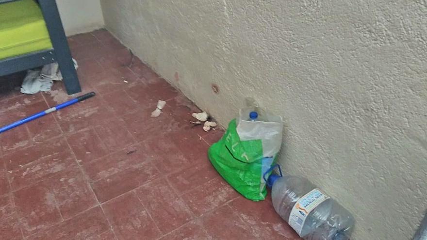 Los montañeros de Tenerife denuncian basura en el Refugio dos meses después de limpiarlo