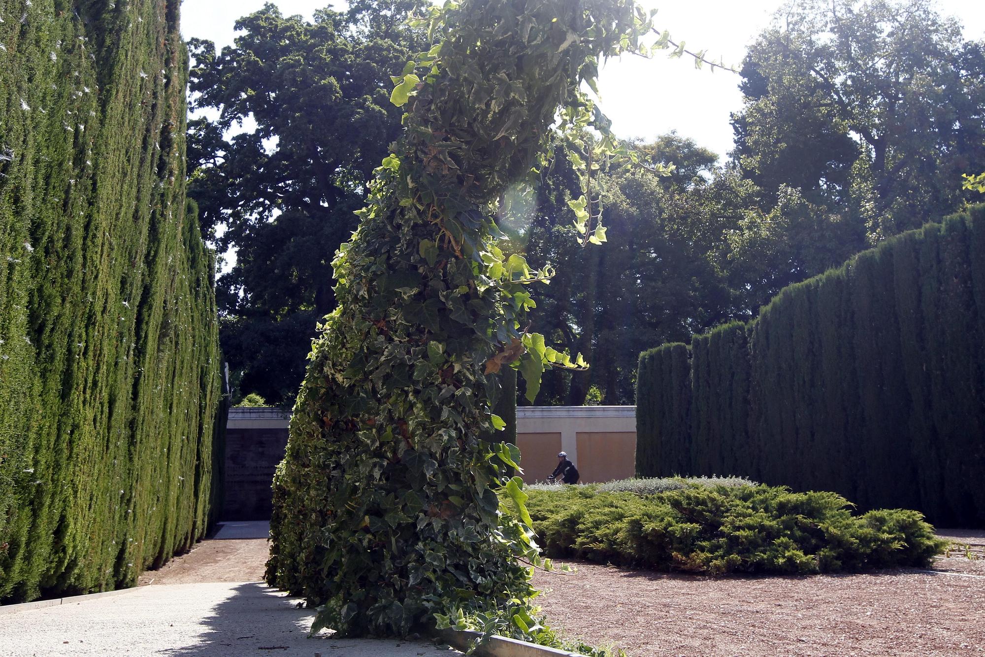 El Jardín de las Hespérides: un parque custodiado por las Ninfas