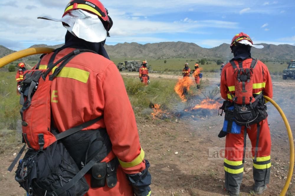 La Unidad Militar de Emergencias en Cieza