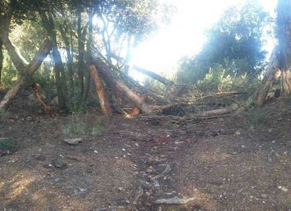 Tornen a posar filferros entre els arbres a les Gavarres
