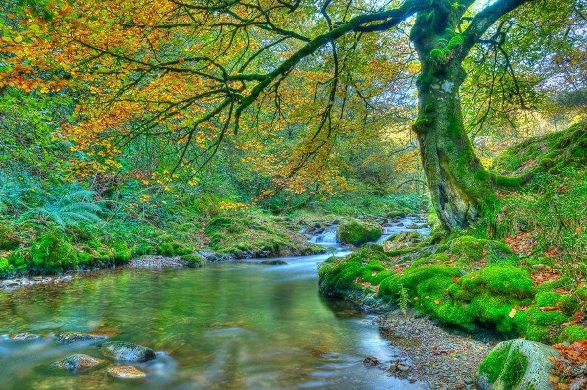 Muniellos, Asturias