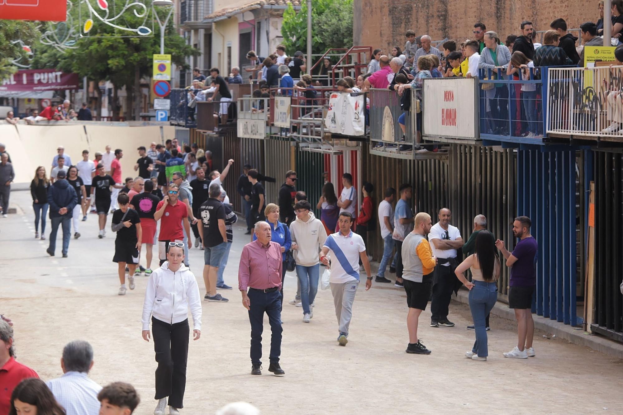 Las imágenes de la séptima jornada de las fiestas de Sant Pasqual del 2023 en Vila-real