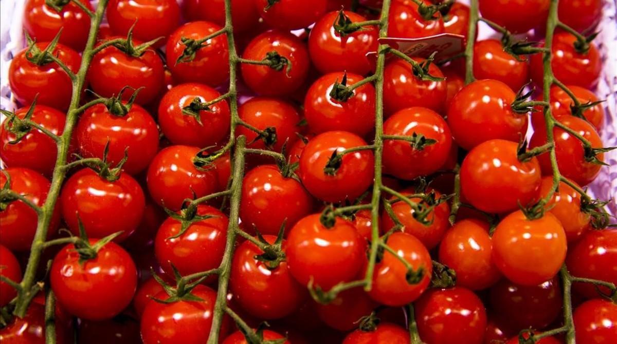 Tomates en un mercado de Barcelona.