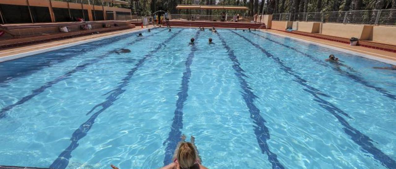 La piscina municipal del Parque Deportivo de Elche, en una imagen del pasado verano. | MATÍAS SEGARRA