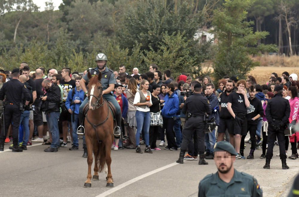 Toro de la Peña en Tordesillas