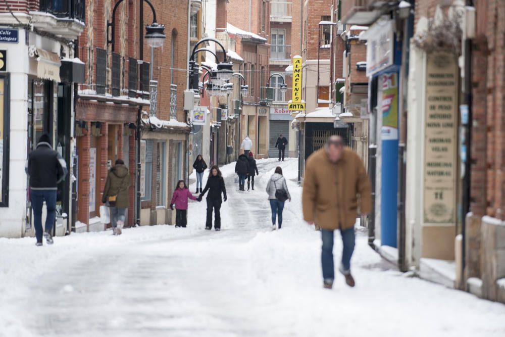 Así ha sido la nevada en Benavente.