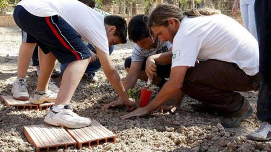 Un monitor enseña a plantar tomates a unos niños, durante la inauguración del proyecto "Huertos de Altabix", una iniciativa pionera destinada al aprovechamiento agrícola con fines educativos y sociales de una parte de los huertos de palmeras de Elche.