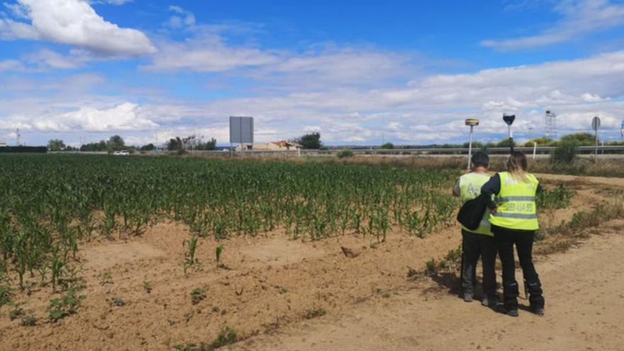 Terrenos donde se va a desarrollar el Puerta del Noroeste. | E. P.