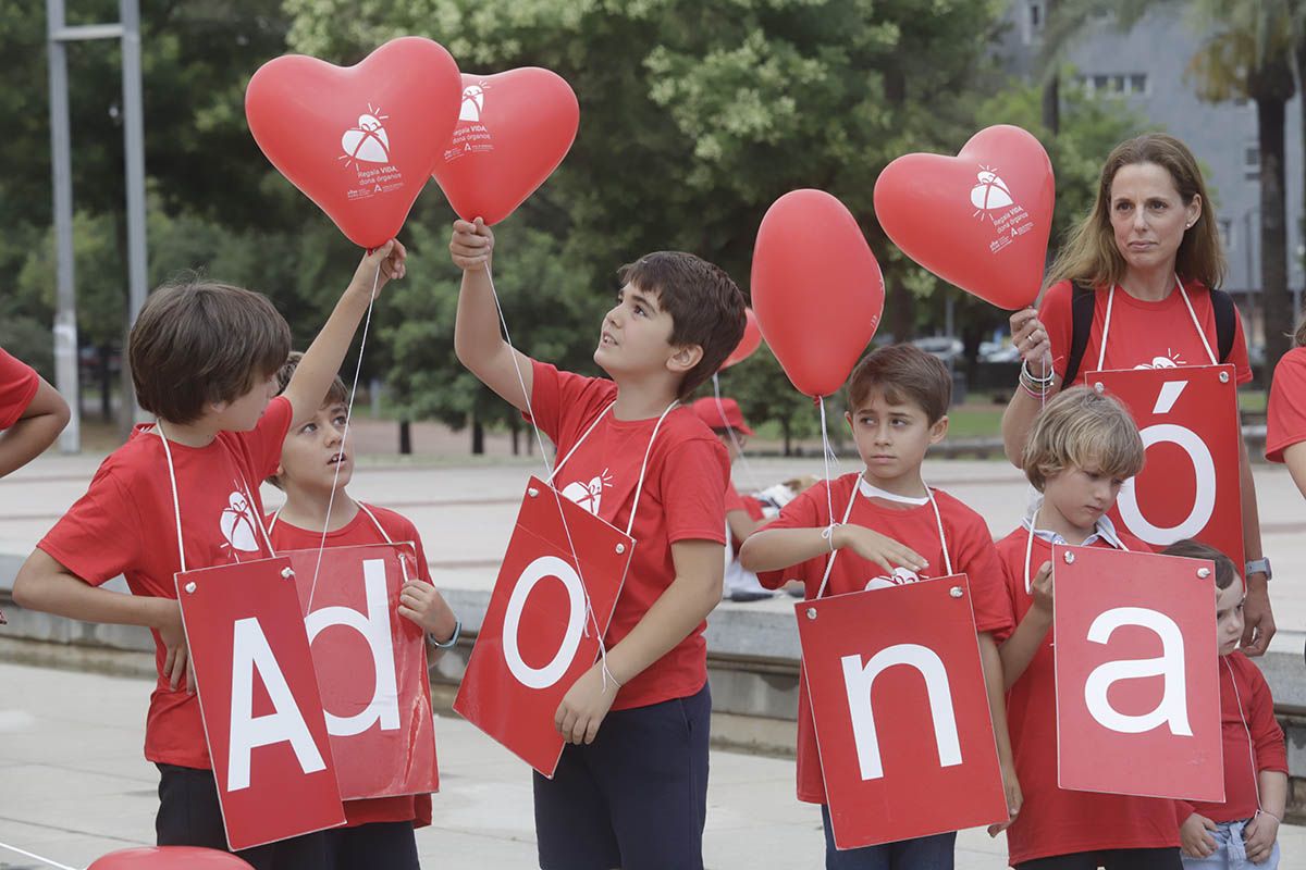 La marcha de la donación, en imágenes