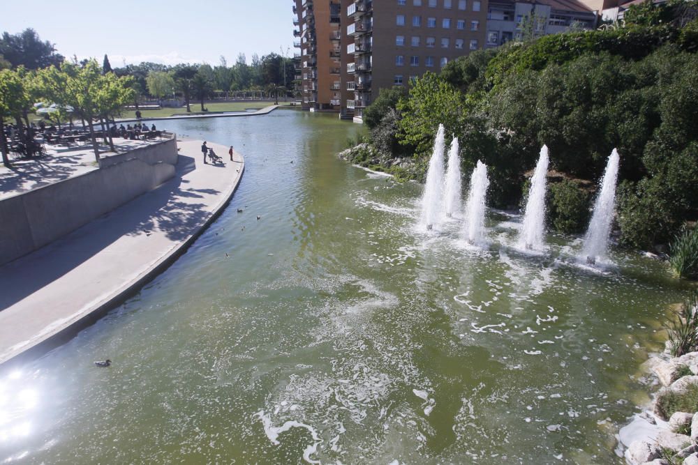 Aigua verda al llac del parc del Migdia