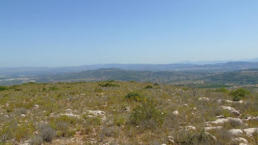 Rebajan a la mitad el precio del suelo del Montot apto para plantas solares tras quedar desierta la primera subasta