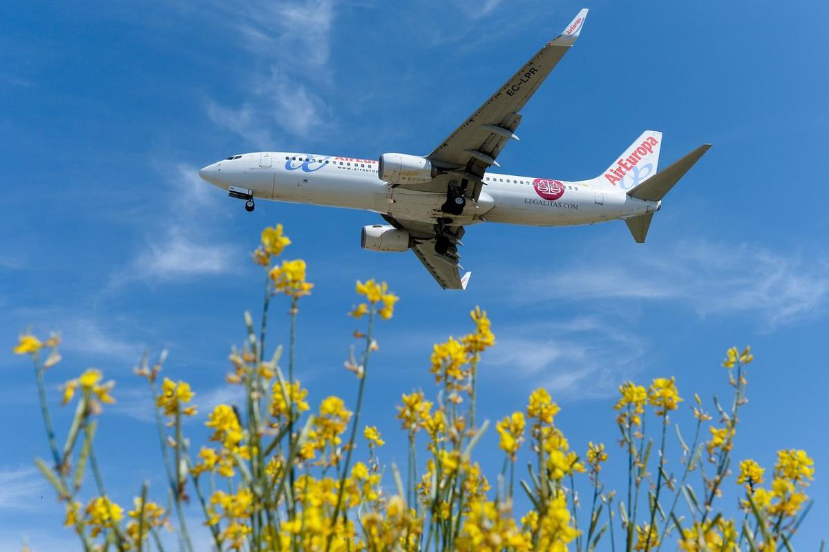 air-europa