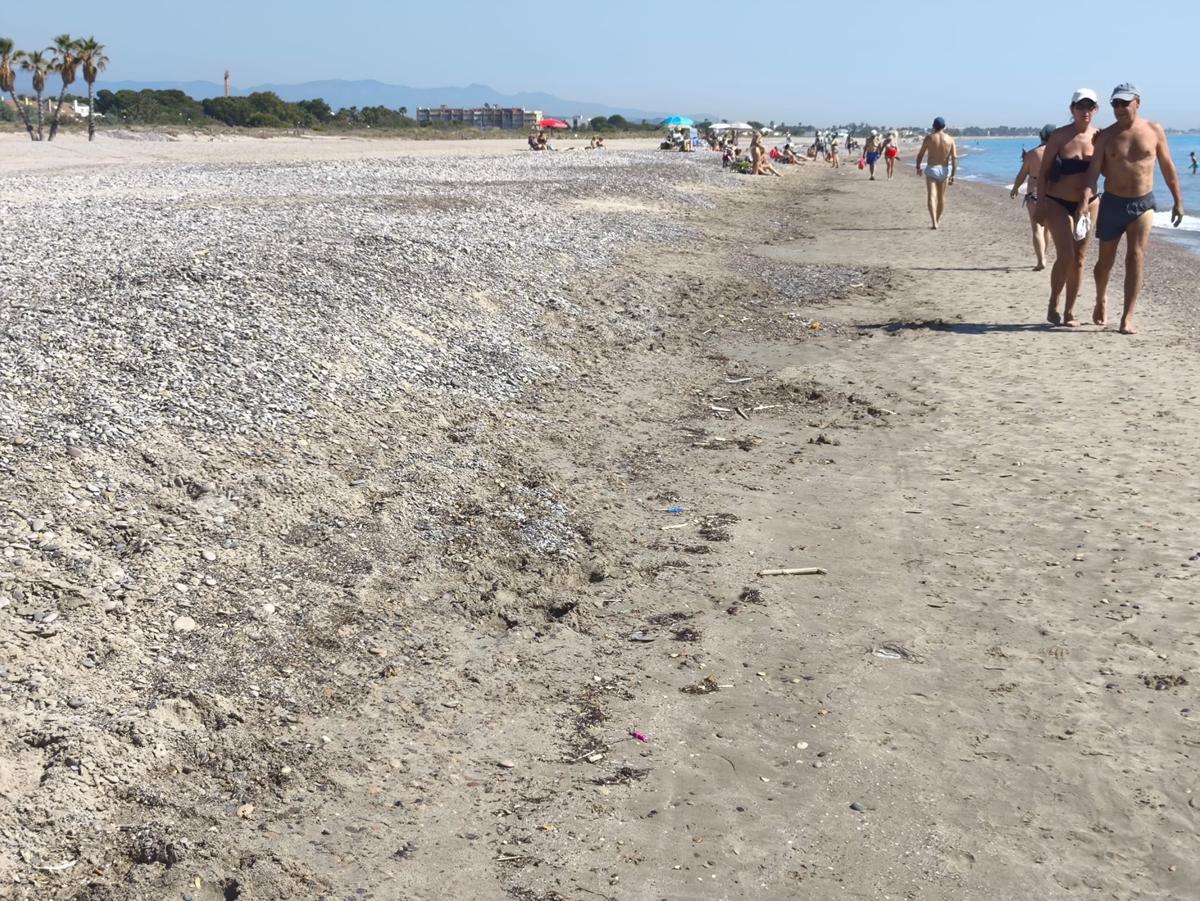 Lenguas de piedra en la playa de Canet
