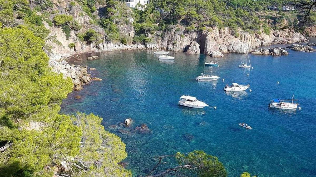 Cala Sénia en Palamós.