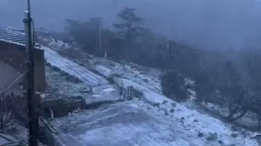La neu enfarina l'Albera