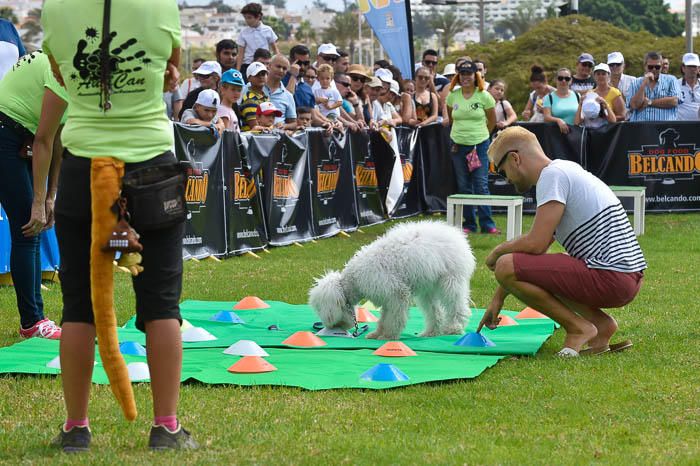 II Feria de mascotas, en Maspalomas