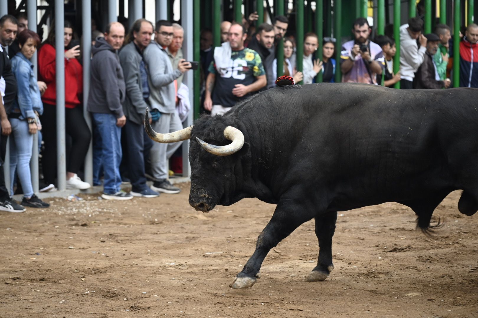 Galería | Las imágenes de la penúltima tarde de toros de las fiestas de Almassora