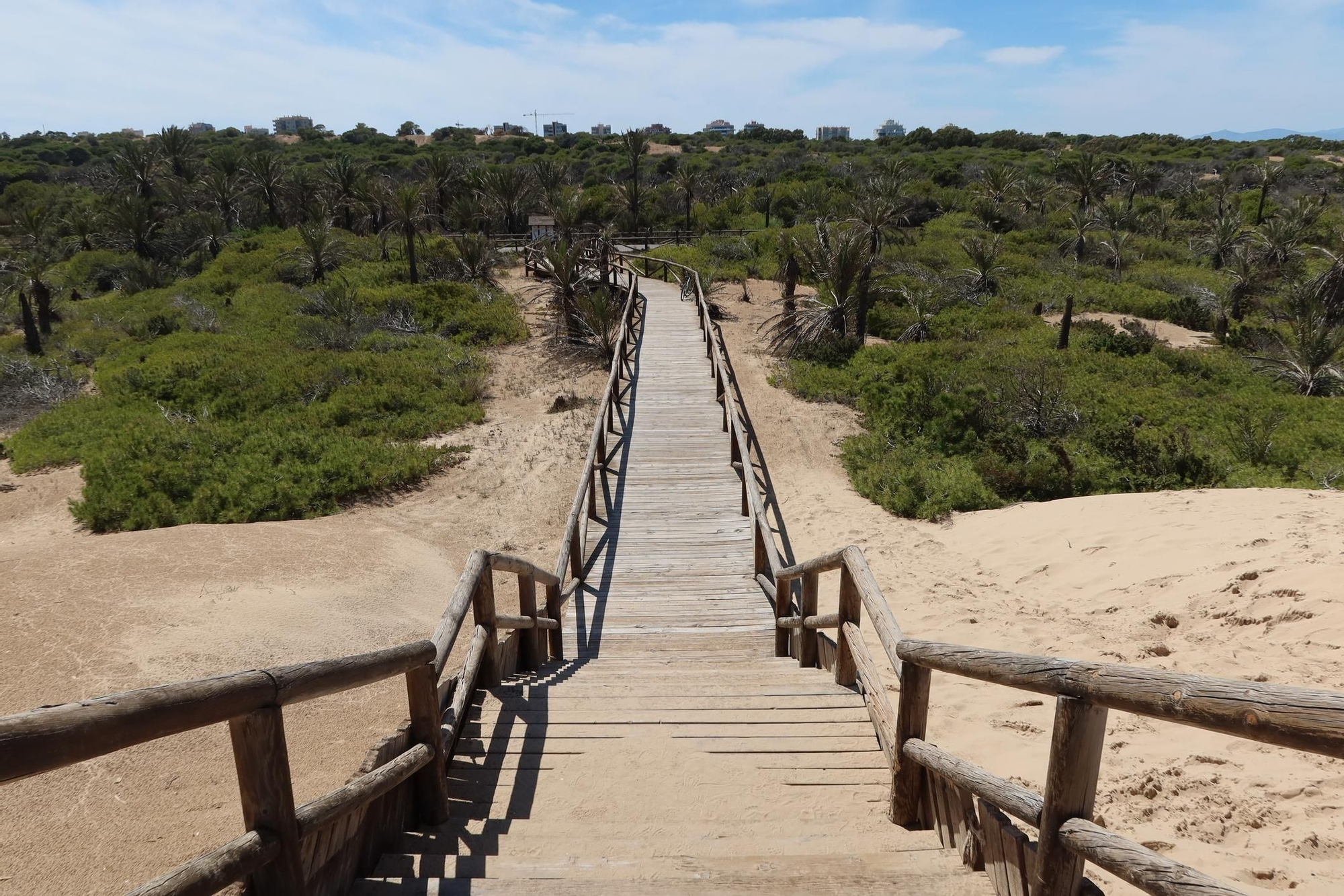 Paseo por las dunas en Guardamar