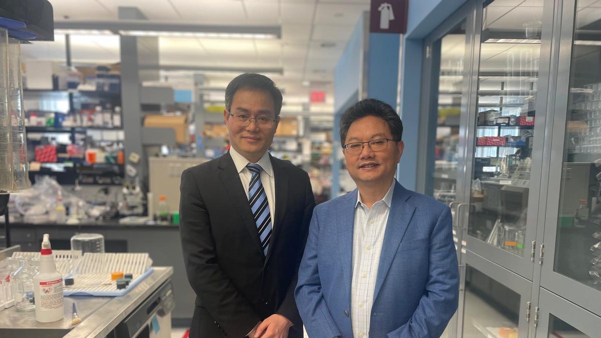 Gen terapisi deney katılımcılarının %90'ında işitmeyi geri kazandırıyor