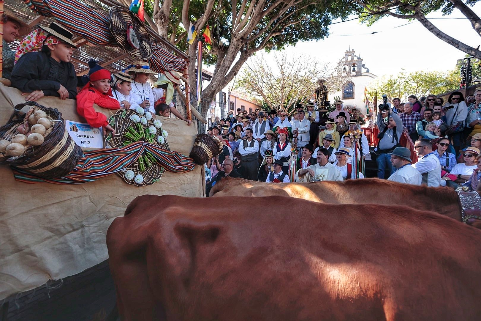 Romería San Antonio Abad en Arona