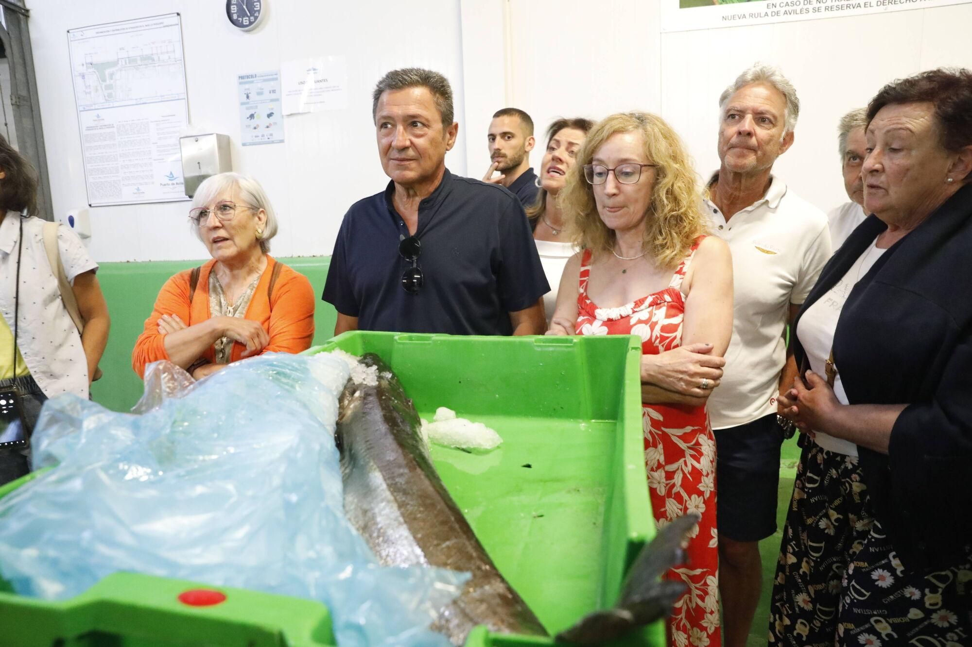 En imágenes: así fue la primera visita guiada a la rula de Avilés de la campaña veraniega