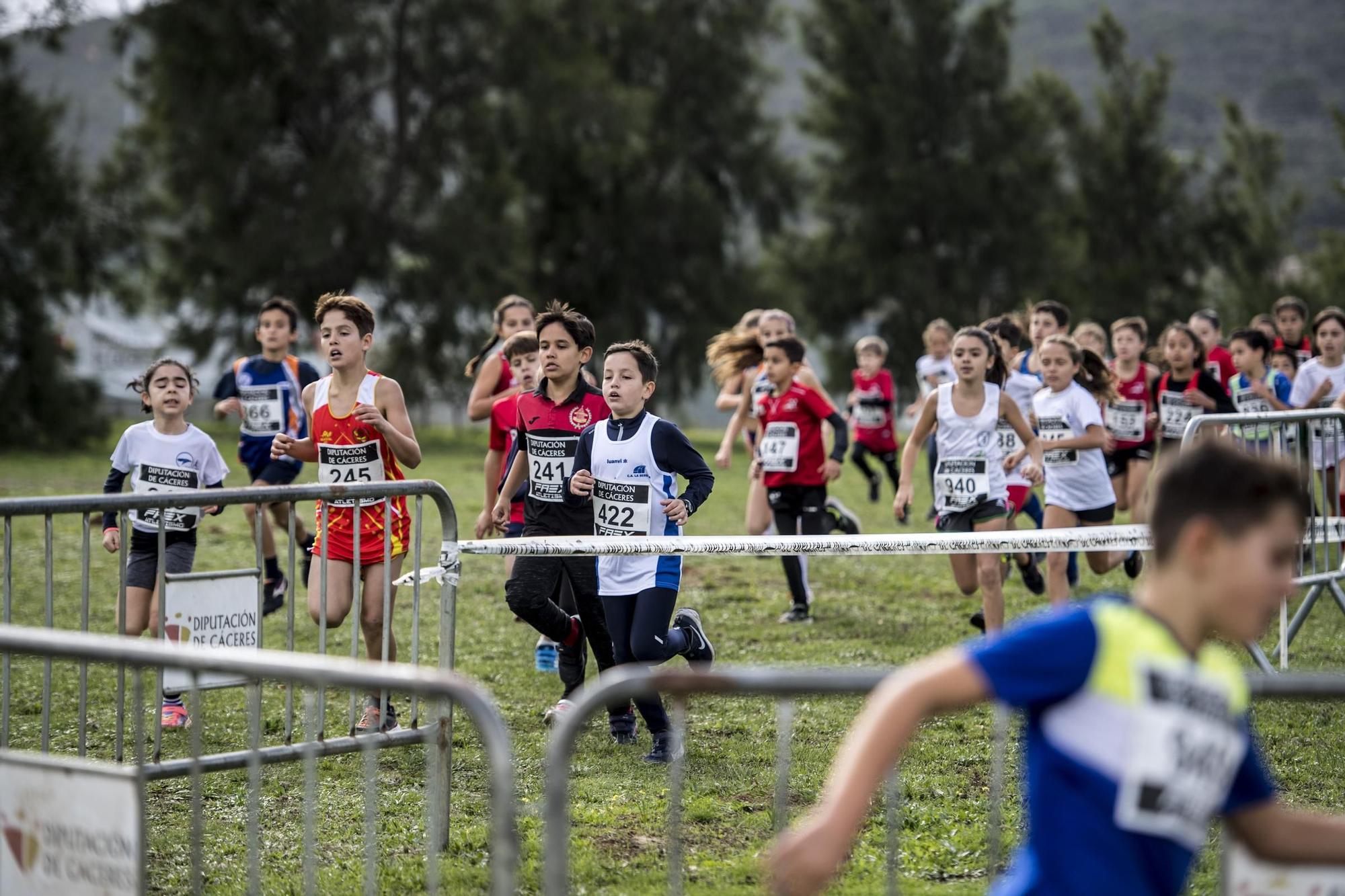 Las imágenes del XXXIX Trofeo Diputación de Cáceres